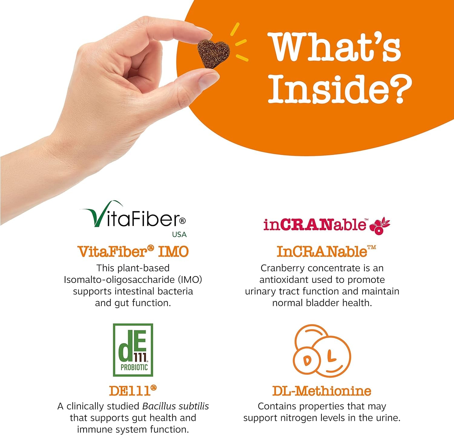 Zesty Paws Stay Green Bites for Dogs - Grass Burn Soft Chews for Lawn Spots Caused by Dog Urine - with Cranberry for Urinary Tract & Bladder - Beef - 90 Count