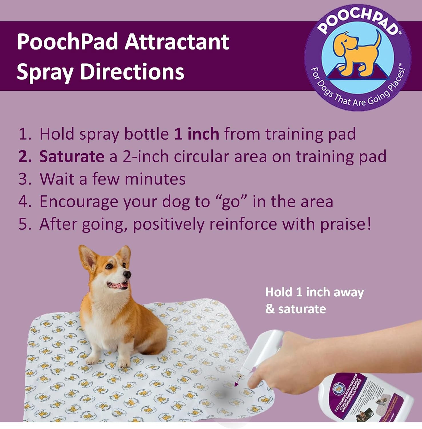 Potty Training Attractant Spray for Dogs & Puppies 16 Oz, Made in USA, Indoor Potty Pad & Outdoor Use, Dog Training & Behavior Aids Housebreaking Supplies