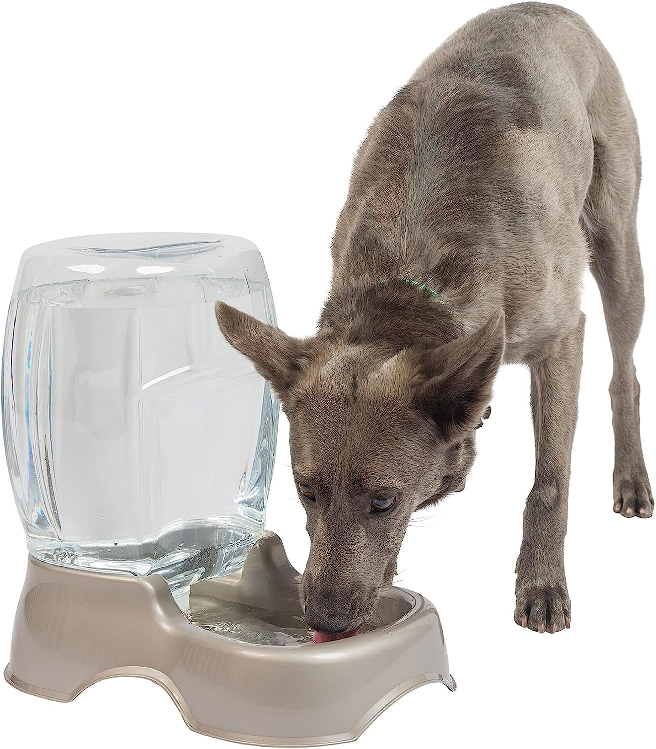 Petmate Pet Cafe Waterer Cat and Dog Water Dispenser 1.5 Gallon, Pearl Tan