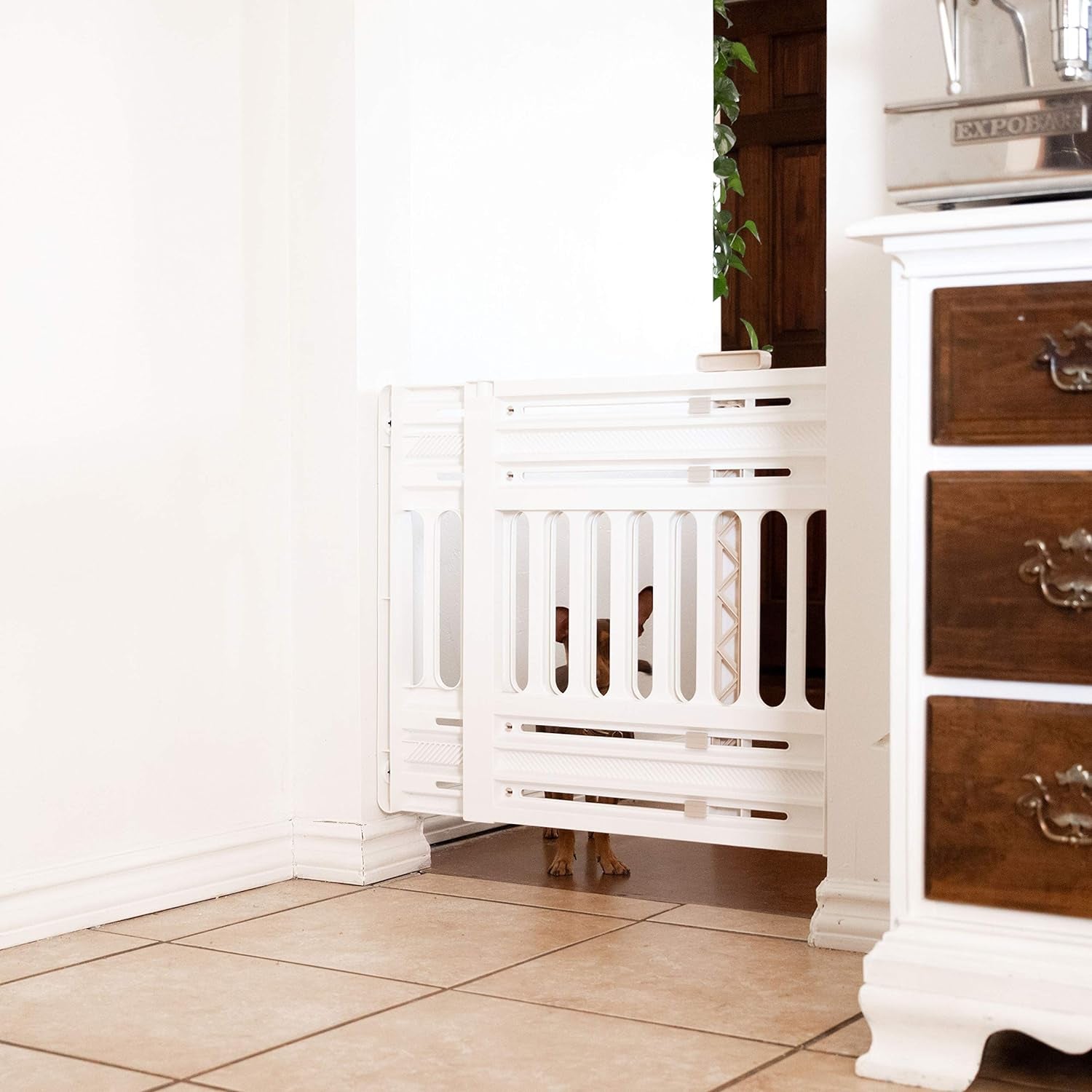 IRIS USA 24"-39" Portable Expandable Pet Gate, Adjustable Pet Barrier for Puppy Small Dog Fits Most Doorways Easy Twist-To-Lock Feature Heavy-Duty Molded Plastic 25" Tall, White