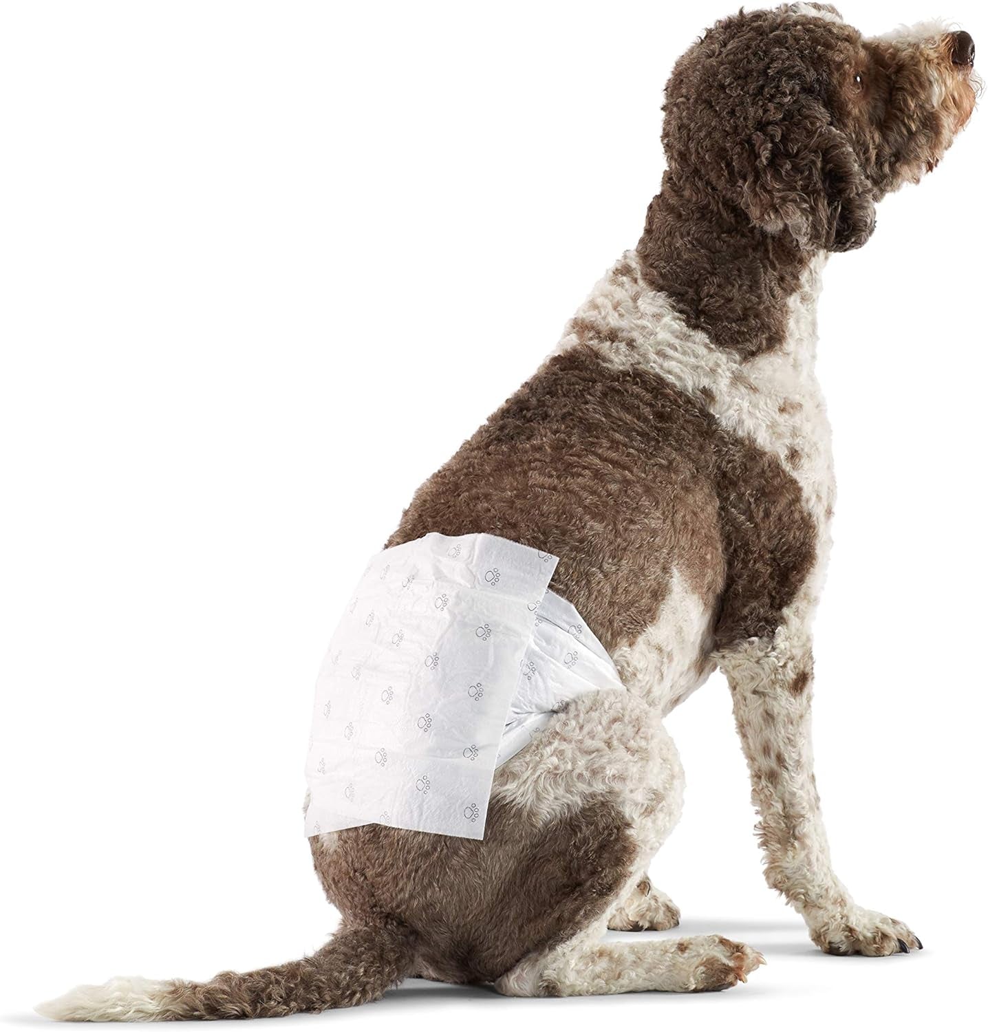 Amazon Basics Male Dog Wrap, Disposable Diapers, Large - Pack of 30, White