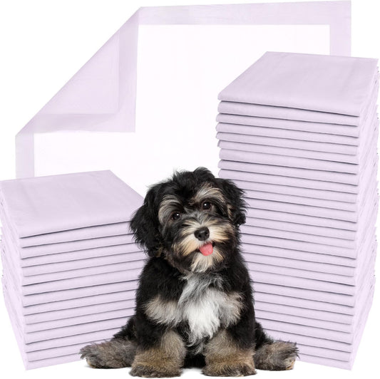 GREEN LIFESTYLE Disposable Underpads - Chucks Pads Disposable Adults, for Use as Incontinence Bed Pads, Puppy Pads, Pee Pads for Dogs, Cats, Bunny, Seniors Bed Pad (Pack of 600 - 22X22)