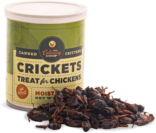 Fluker's Culinary Coop Canned Crickets Chicken Treat, All Natural and Packed with Protein, 2.75 oz