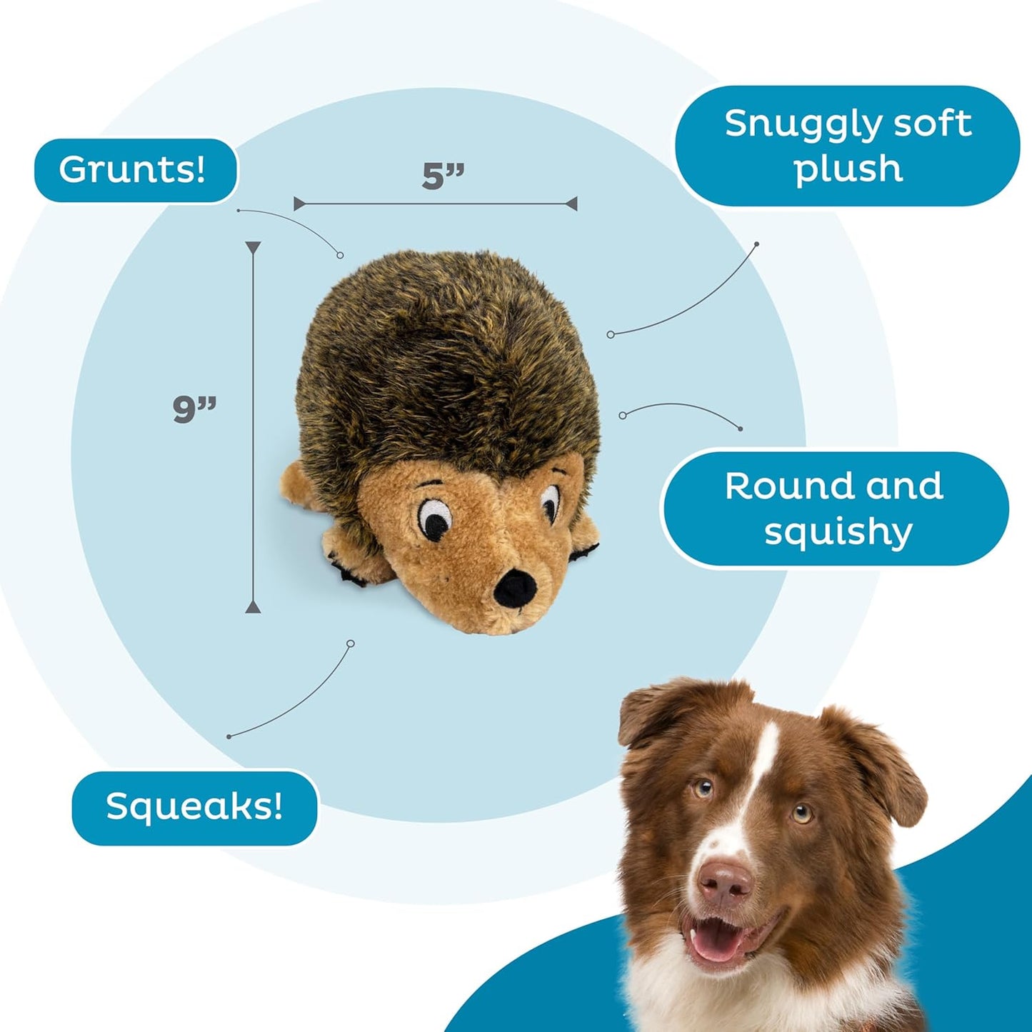 Outward Hound, Hedgehogz Plush Dog Toy, Medium