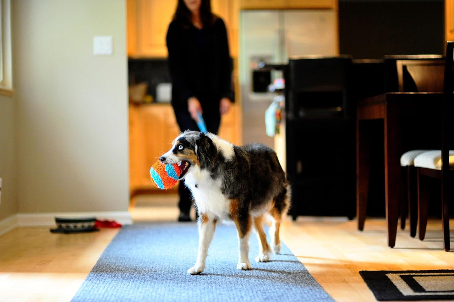 Chuckit Indoor Fetch Shaker Dog Toy (7.5 Inch), Orange and Blue