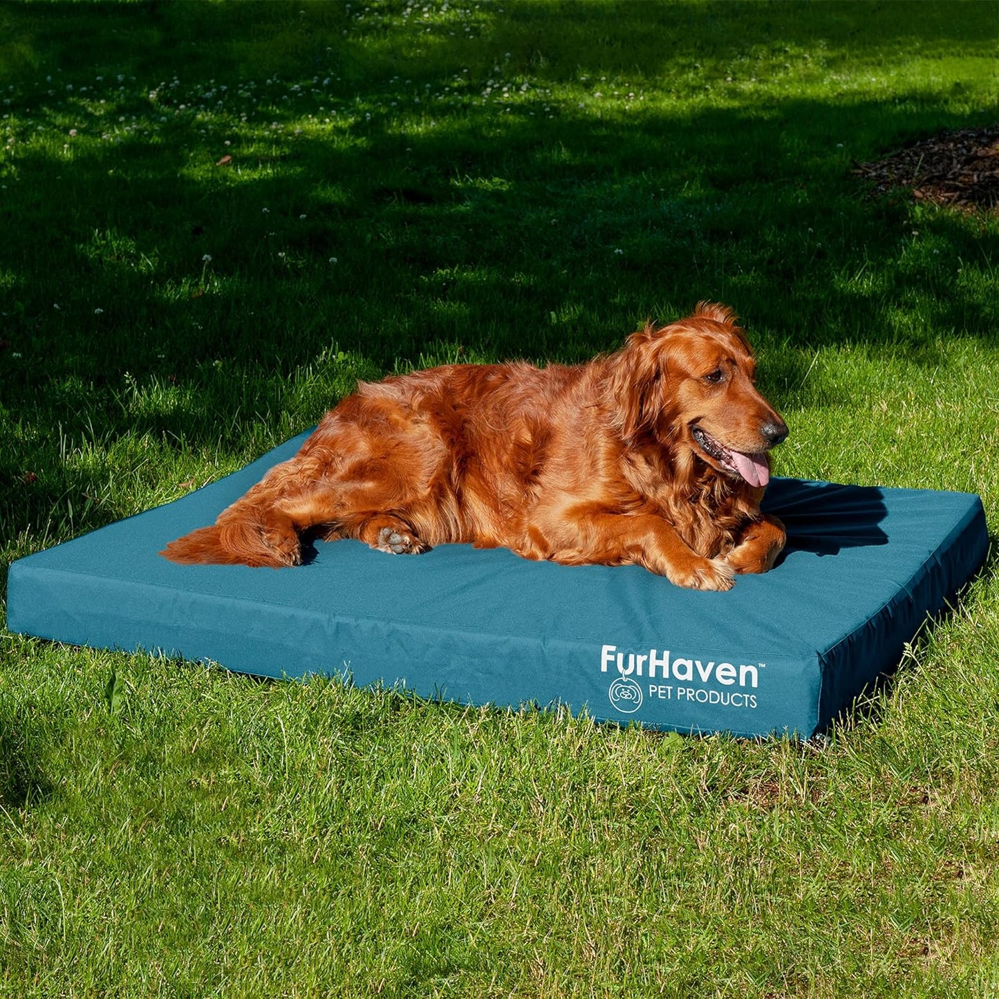 Furhaven Water-Resistant Memory Foam Dog Bed for Large Dogs W/ Removable Quilt Top & Washable Cover, for Dogs up to 125 Lbs - Indoor/Outdoor Quilt Top Convertible Mattress - Sand, Jumbo Plus/Xxl