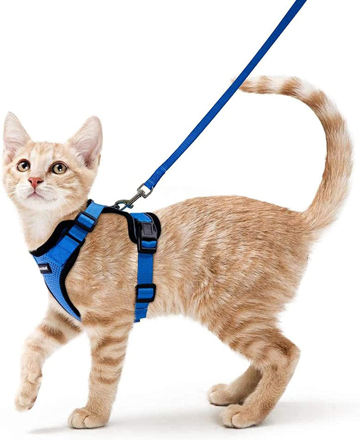 Rabbitgoo Cat Harness and Leash for Walking, Escape Proof Soft Adjustable Vest Harnesses for Cats, Easy Control Breathable Reflective Strips Jacket, Navy Blue, XS