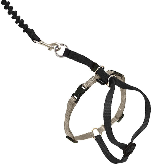 Petsafe Come with Me Kitty Harness and Bungee Leash, Harness for Cats, Medium, Black/Silver