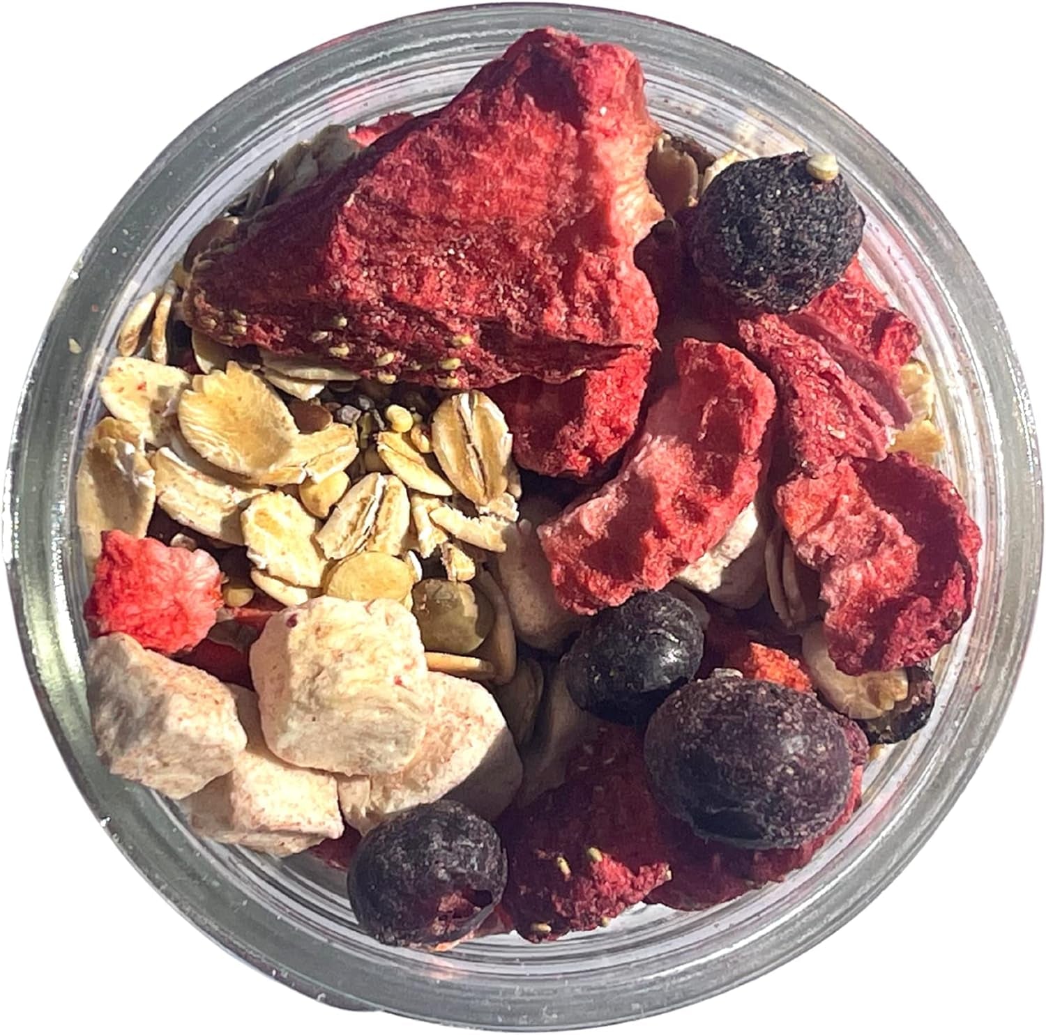 Snout and Shell Fruity Breakfast Blend Hermit Crab Dry Food - High Protein & Nutrient Blend Diet of Rolled Oats, Blueberries, Strawberry, Banana, Sprouted Seeds Mix - Aquatic Pet Snack Treat | 65g