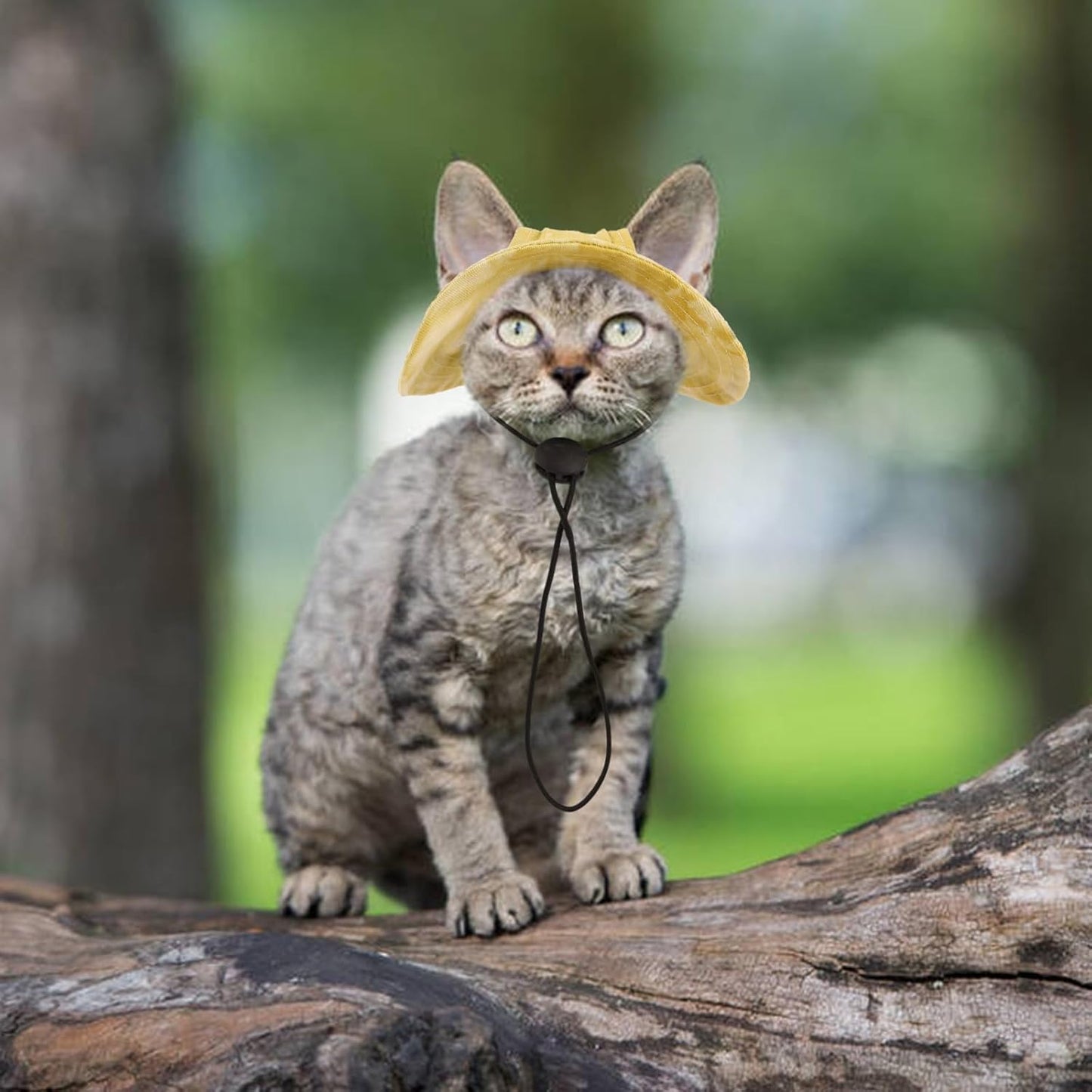 Bonaweite Cat Hats for Cats Only, Sphynx Hat with Ear Hole, Cat Cowboy Hats for Birthday Party Halloween, Kitten Headwear Mini Sun Sombrero Caps, Pet Chihuahua Sunscreen Baseball Outdoor Climbing Cap