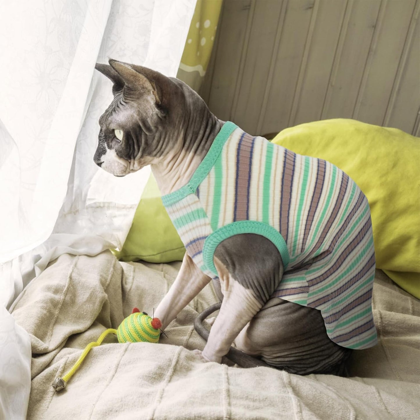 Nanaki Hairless Sphynx Cat Clothes Sphynx Sweaters for Cats Sleeveless, Cat Sweater Cat Shirts for Cats Only, Stripe Cat Shirt T-Shirts Breathable Cat Apparel Vest Pajamas Jumpsuit for Cats Small Dogs