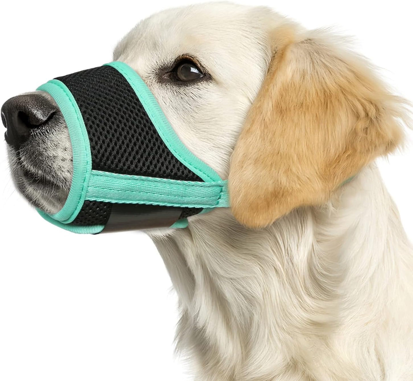 HEELE Dog Muzzle, Soft Mesh Breathable Muzzle with Adjustable Straps for Small Medium Large Dogs, Prevent Biting, Licking and Chewing, Allow Drinking Panting Green X-Large