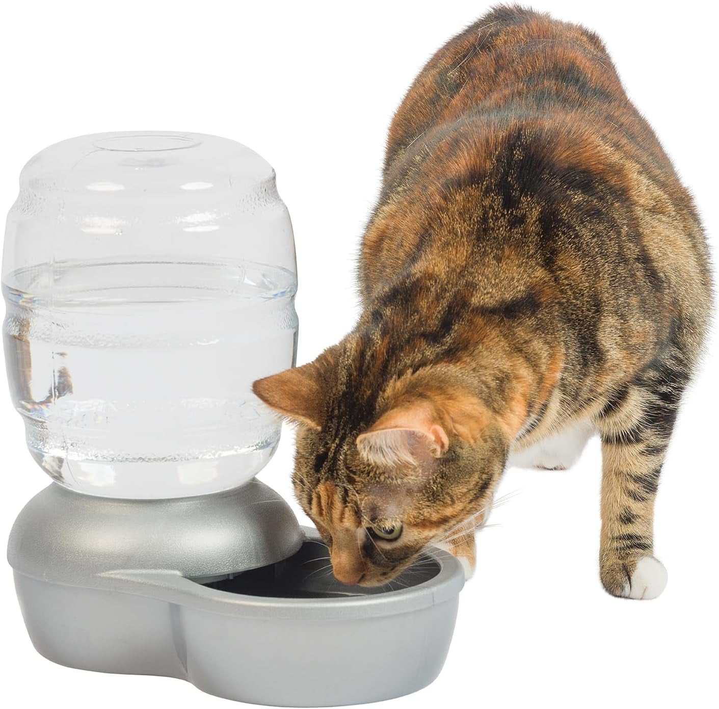 Petmate Replendish Automatic Gravity Waterer for Cats and Dogs, Bpa-Free, No Batteries Required, Includes Charcoal Filter, 0.5 Gallon,Silver