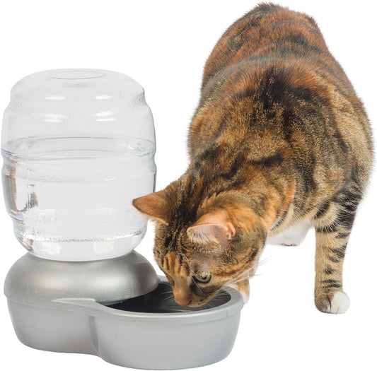 Petmate Replendish Automatic Gravity Waterer for Cats and Dogs, Bpa-Free, No Batteries Required, Includes Charcoal Filter, 1 Gallon, Made in USA