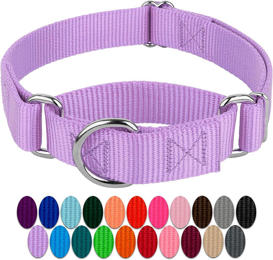 Country Brook Petz - Lavender Martingale Heavyduty Nylon Dog Collar - 21 Vibrant Color Options (1 Inch Width, Extra Large)