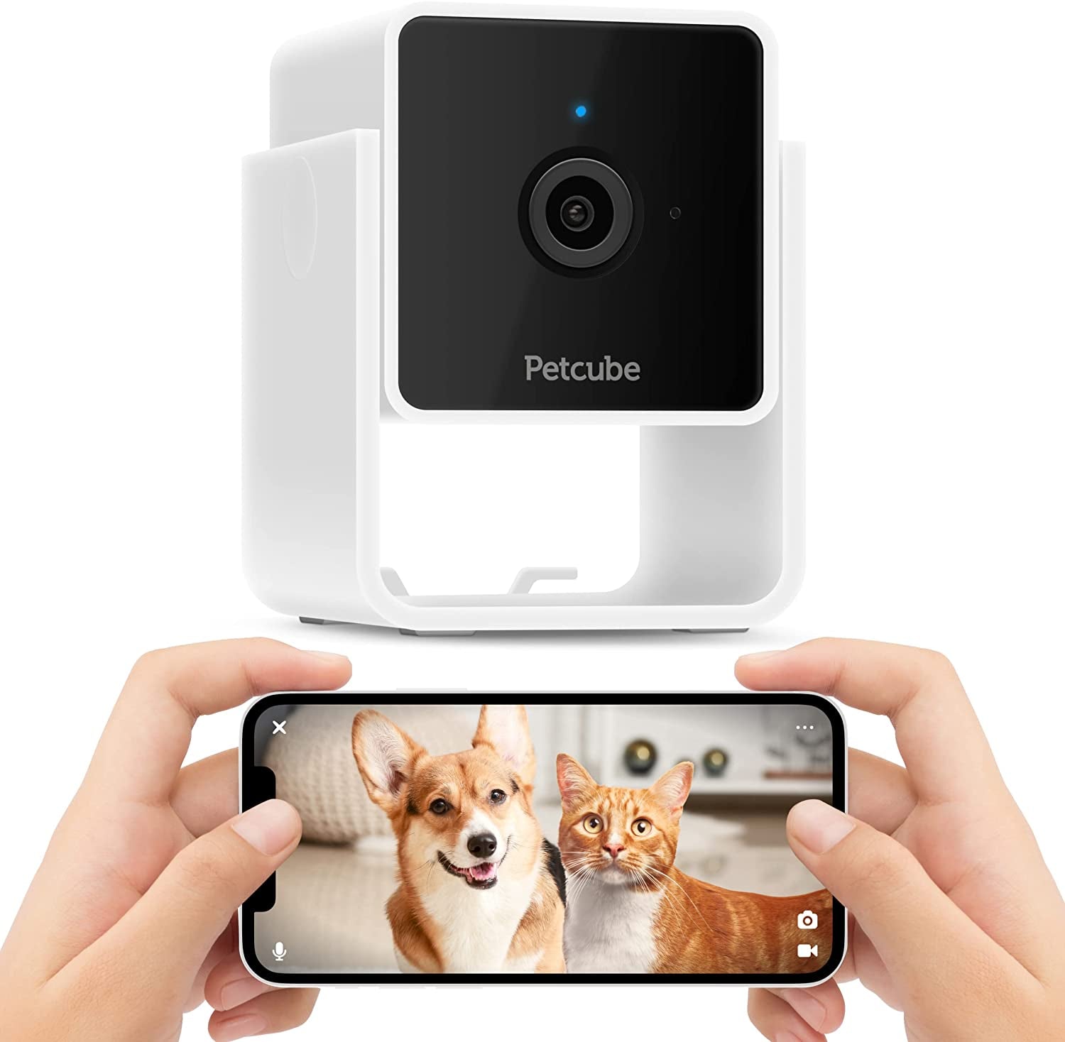 Petcube Cam the Pack of 3 | Indoor Wi-Fi Pet and Security Camera with Phone App, Pet Monitor with 2-Way Audio and Video, Night Vision, 1080P HD Video and Smart Alerts for Ultimate Home Security