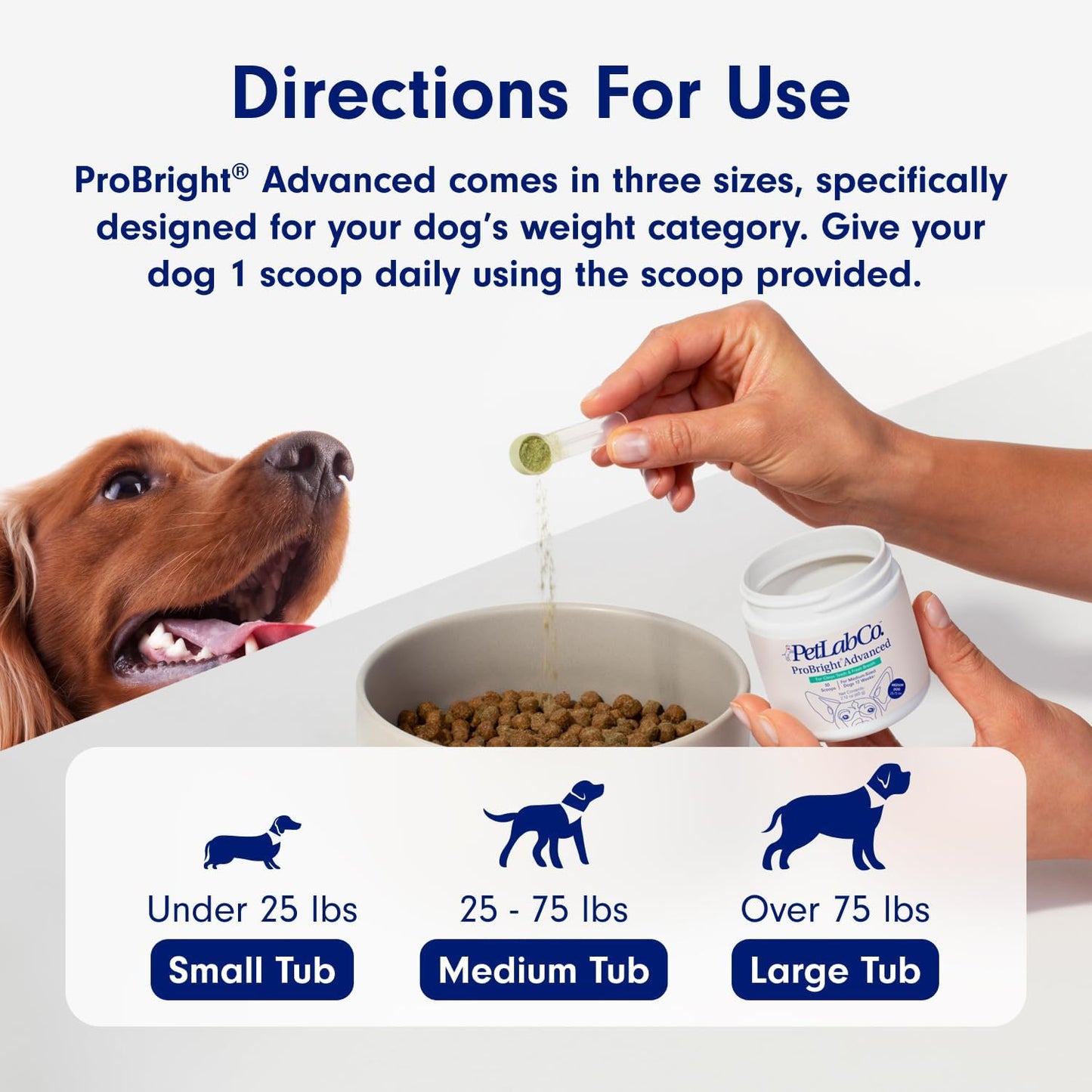 Petlab Co. Probright Advanced Dental Powder - Dog Breath Freshener - Teeth Cleaning Made Easy – Targets Tartar & Bad Breath - Formulated for Large Dogs