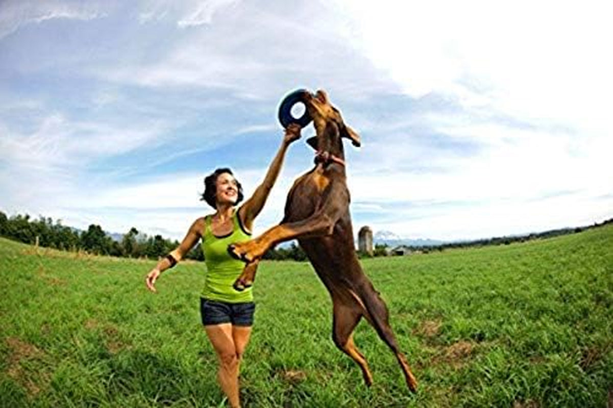 Chuckit Zipflight Flying Disc Dog Toy, Medium (8.5"), Orange and Blue