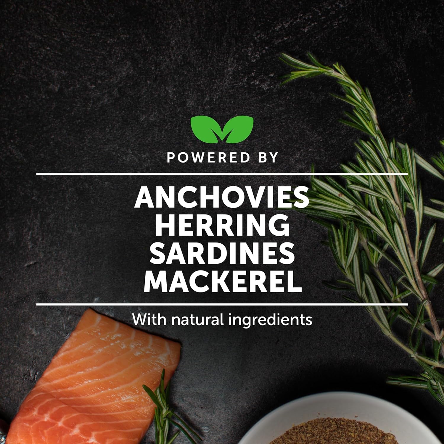 Pet Honesty Dog Skin and Coat Supplement with Salmon Oil for Dogs - Allergy Itch Relief + Skin & Coat Health, Dog Food Topper Bone Broth with Salmon Oil, Collagen, Biotin + Vitamin E (12 Oz)