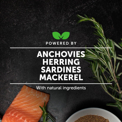 Pet Honesty Dog Skin and Coat Supplement with Salmon Oil for Dogs - Allergy Itch Relief + Skin & Coat Health, Dog Food Topper Bone Broth with Salmon Oil, Collagen, Biotin + Vitamin E (12 Oz)