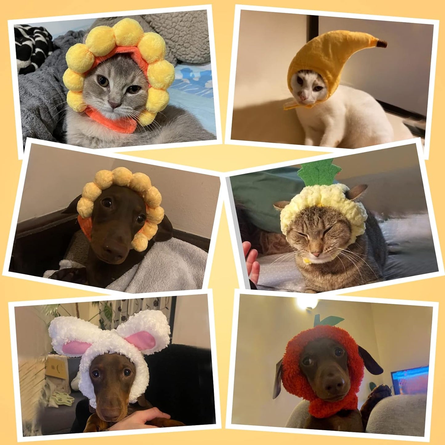 Weewooday 5 Pieces Cat Hat Cat Costume Bunny Hat with Ears Funny Banana Pineapple Cat Hat for Cats and Small Dogs Kitten Puppy Party Costume Accessory Headwear (Cute Style)