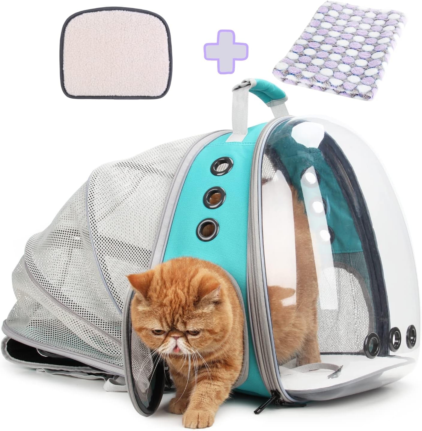 Lollimeow Bubble Expandable Cat Backpack Pet Travel Carrier for Cats and Dogs (Green-Expandable)