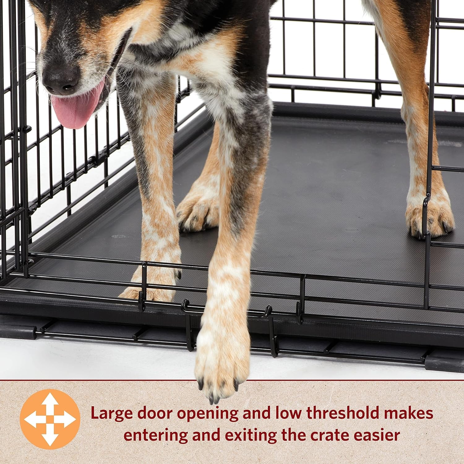 Medium Dog Crate | Midwest Life Stages 30" Double Door Folding Metal Dog Breed Crate | Divider Panel, Floor Protecting Feet & Dog Pan | 30.6L X 19.3W X 21.4H Inches