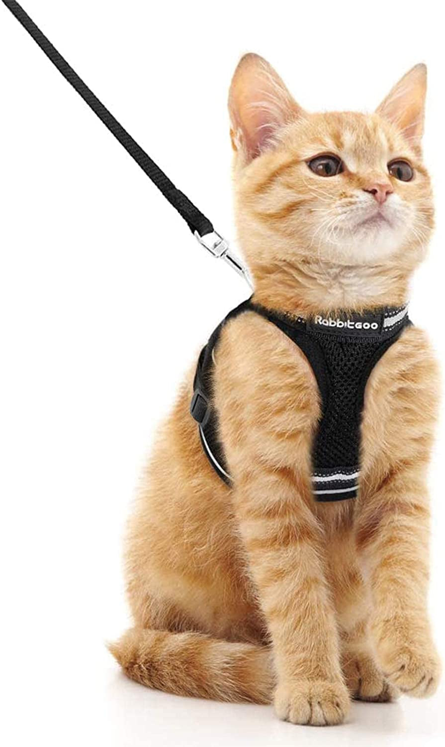 Rabbitgoo Cat Harness and Leash Set for Walking Escape Proof, Adjustable Soft Kittens Vest with Reflective Strip for Cats, Comfortable Outdoor Vest, Black, M