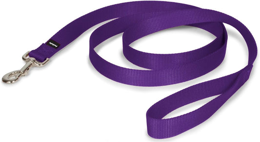 Petsafe Nylon Dog Leash - Strong, Durable, Traditional Style Leash with Easy to Use Bolt Snap - 1 In. X 6 Ft., Deep Purple