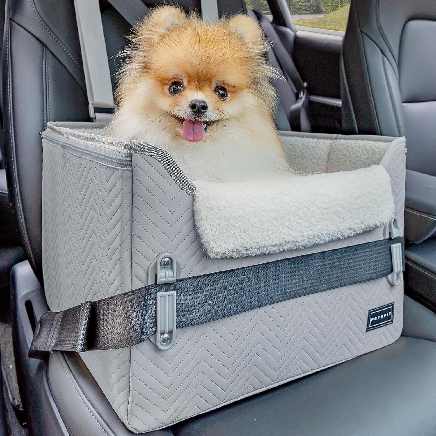 Petsfit Dog Booster Seat, Portable Dog Car Seats for Small Dogs with Clip-On Leash, Patent Safe Buckles, Dog Booster Car Seat Perfect for Small Pets up to 25Lbs (Light Grey)