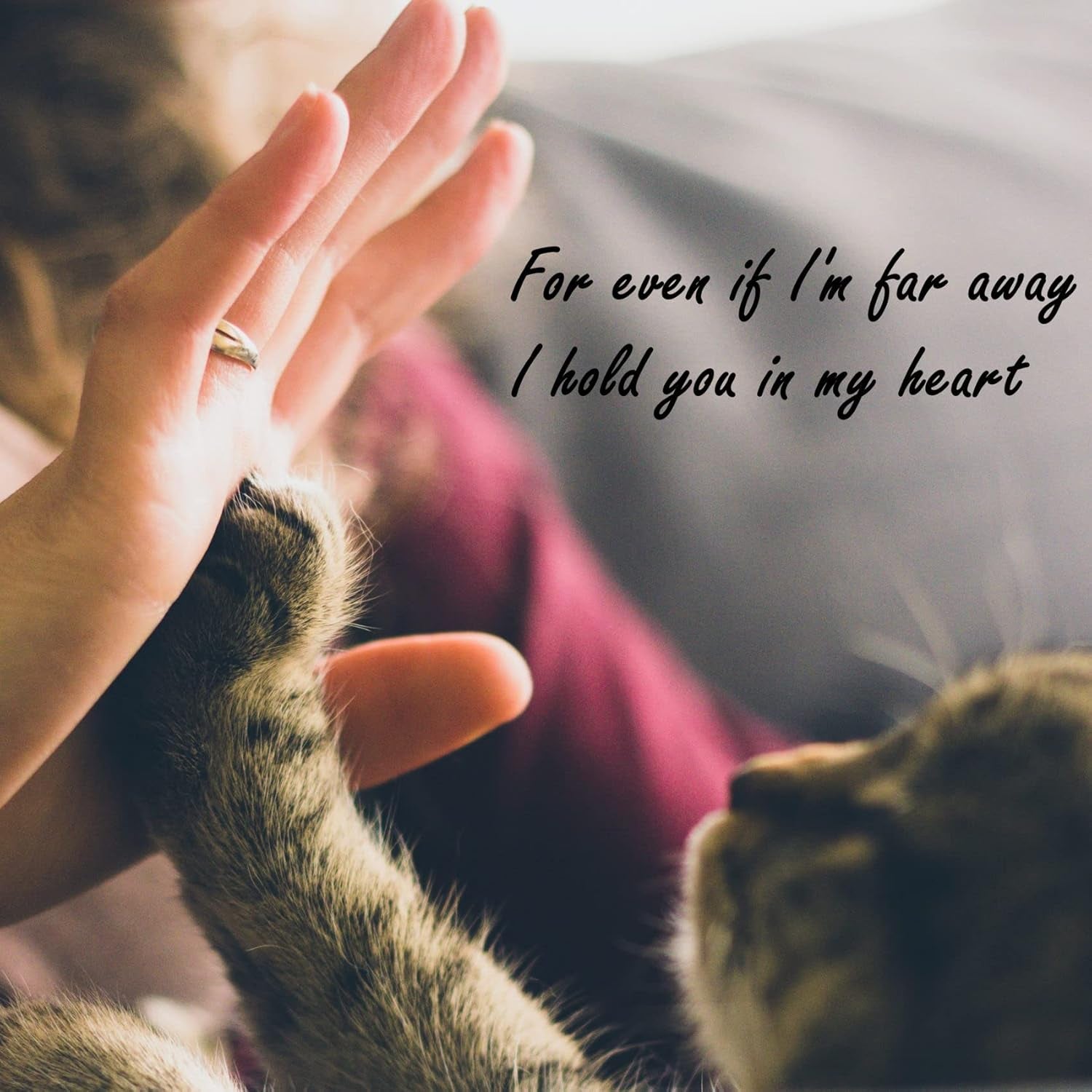 Stained Glass Rainbow Bridge Pet Memorial Gifts for Dogs,Black Dog Memorial Gifts for Loss of Dog,Suncather for Window Hanging,In Memory of Dog Passing Away Gifts,Loss of Dog Sympathy Gift