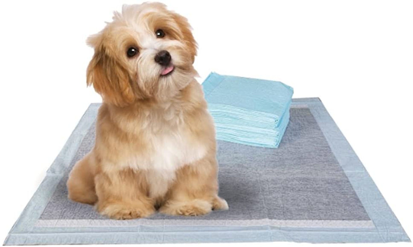 BV Puppy Pads Leak-Proof 100 Count 22"X 22" | Pee Pads for Dogs 6-Layer- Charcoal Dog Pee Pads- Dog Pads 100 Pack- Potty Pads for Dogs- Puppy Pee Pads, Pee Pad Training Pads for Dogs, Pet Pee Pads