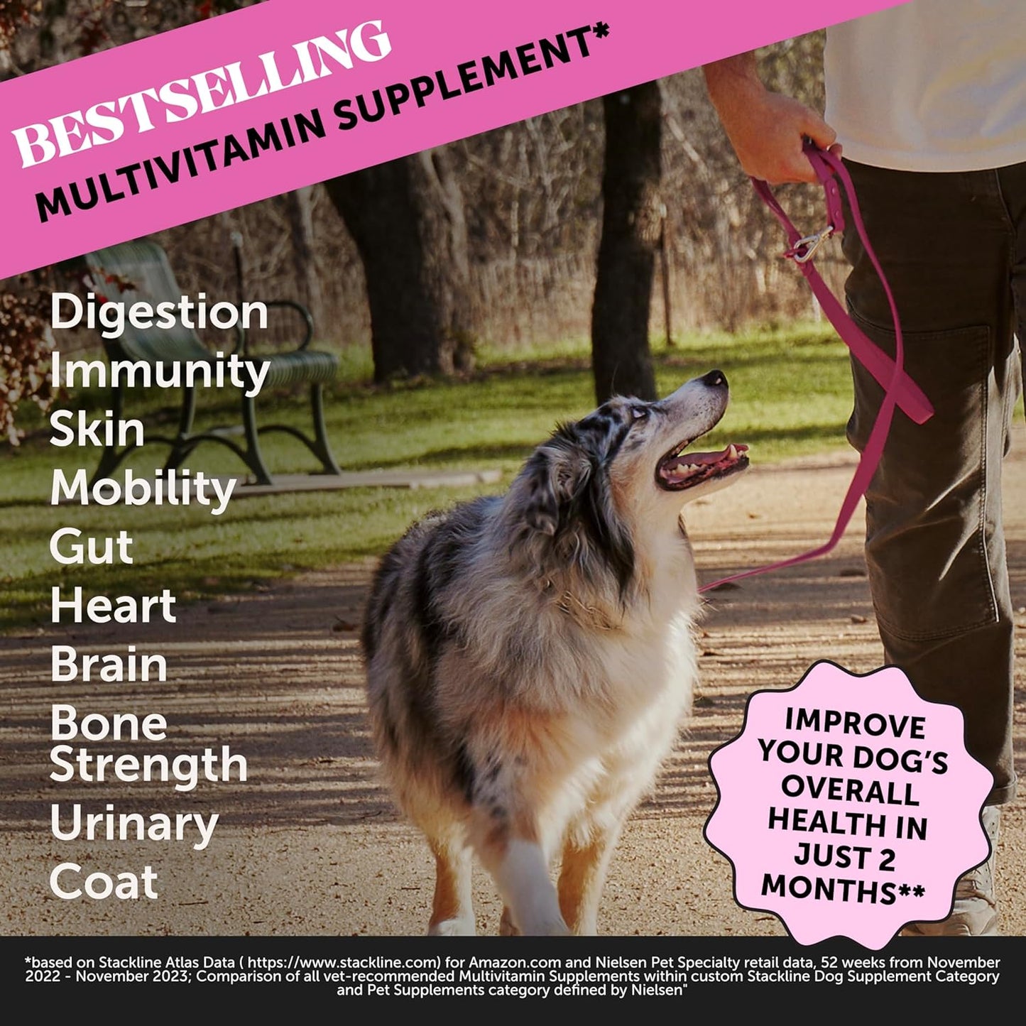 Pet Honesty Dog Multivitamin Max Strength - 15 in 1 Dog Vitamins for Health & Heart - Dog Essentials Fish Oil, Glucosamine, Probiotics, Omega Fish Oil - Dog Vitamins and Supplements for Skin and Coat