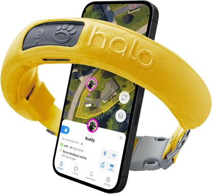 Halo Collar 3 - GPS Dog Fence - Multifunction Wireless Dog Fence & Training Collar with Real-Time Tracking & GPS - Waterproof, Instantly Create and Store Wireless Fences (Small, Sunburst)