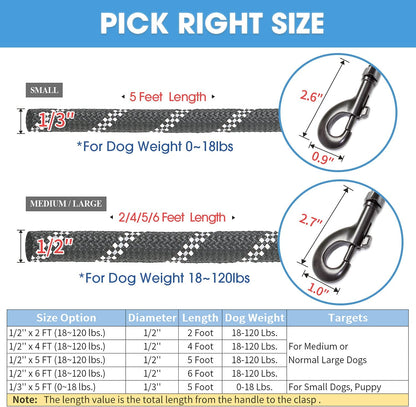 BAAPET 2/4/5/6 FT Dog Leash with Comfortable Padded Handle and Highly Reflective Threads for Small Medium and Large Dogs (5FT-1/2'', Silver)