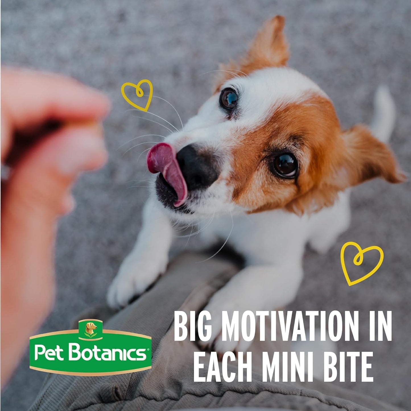 Pet Botanics 4 oz. Pouch Training Rewards Puppy Bites Soft & Chewy, Peanut Butter Flavor, with 200 Treats Per Bag, The Choice of Top Trainers