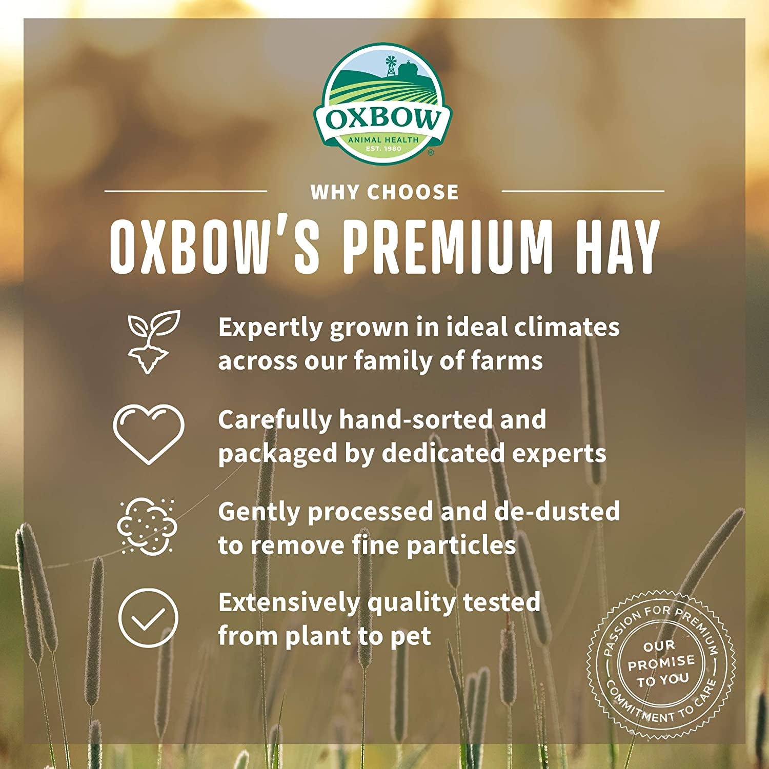 Oxbow Animal Health Oxbow Botanical Western Timothy Hay - All Natural Hay for Rabbits, Guinea Pigs, Chinchillas, Hamsters & Gerbils - 15 oz.