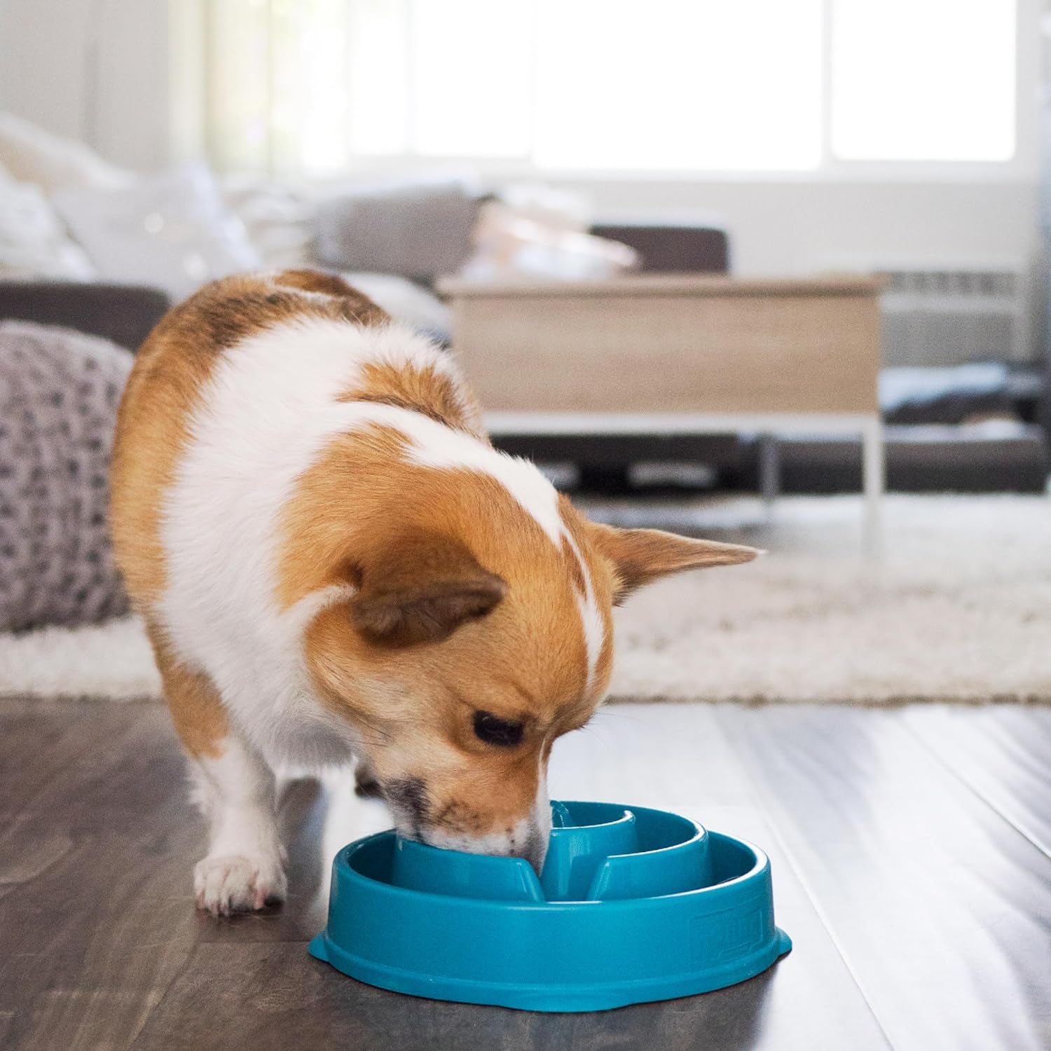 Outward Hound Fun Feeder Slo Bowl, Slow Feeder Dog Bowl, Medium/Mini, Blue