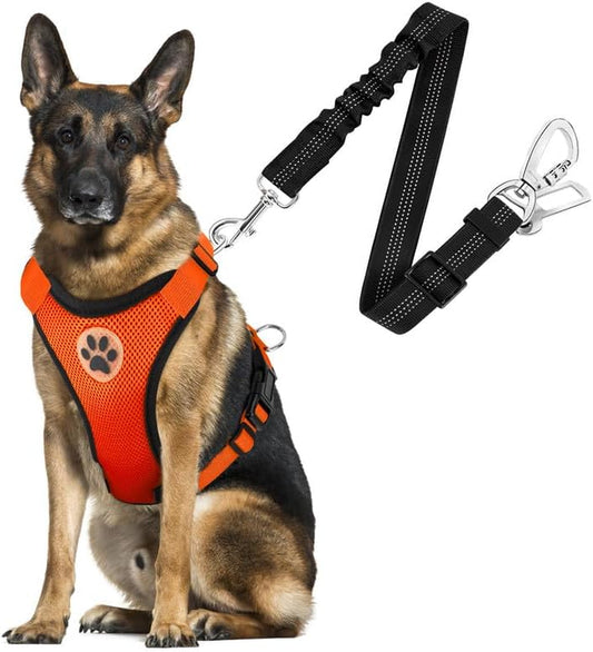 Slowton Dog Seat Belt Harness for Car, Dog Car Harness Adjustable Mesh Breathable & Dog Seatbelt Safety Tether with Elastic Bungee for Small Medium Large Pets(Orange, Double Clip, L)