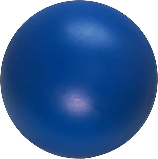 Virtually Indestructible Best Ball for Dogs, 10-Inch