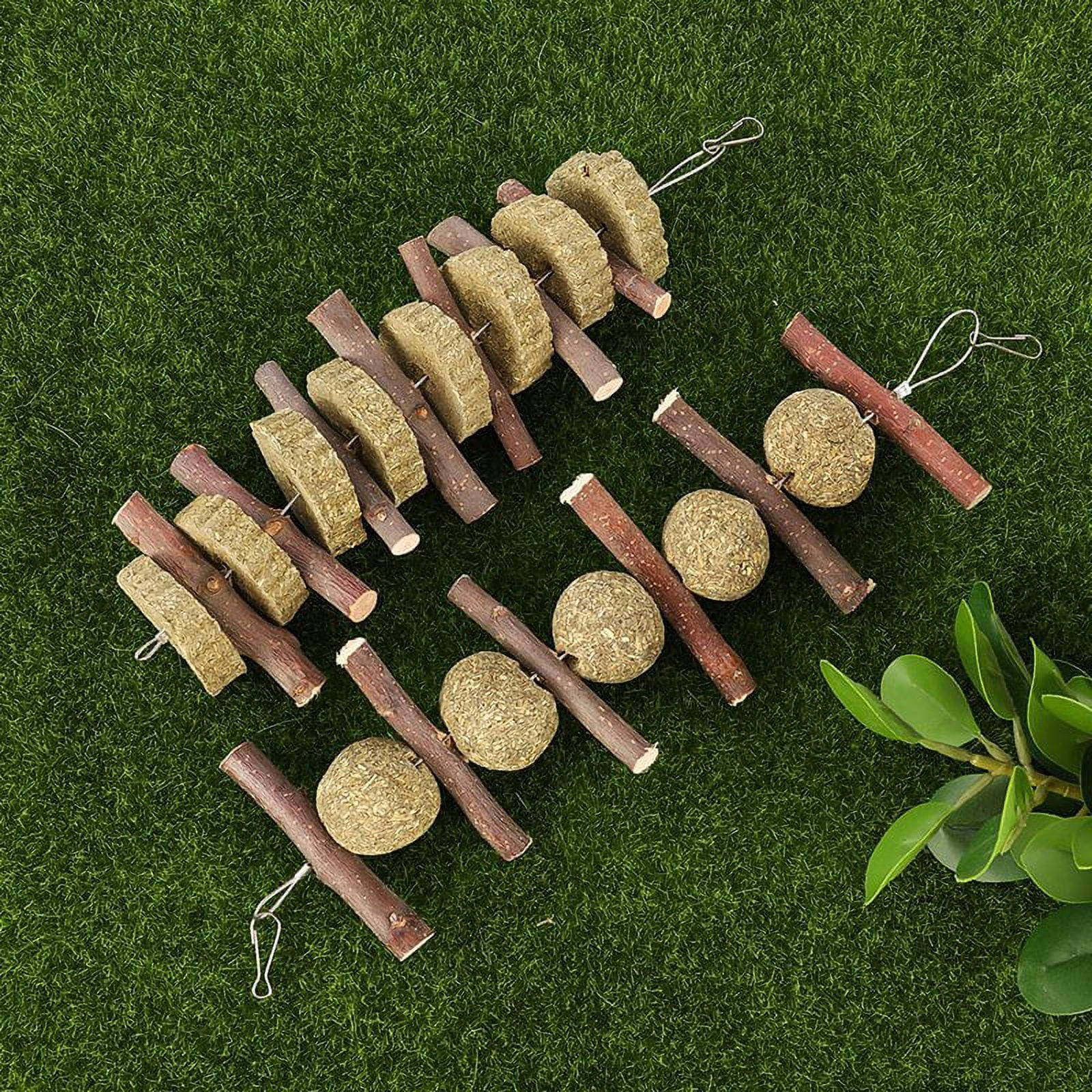 Qweryboo 2 Pcs Rabbit Hamster Chew Toys for Teeth Grinding, 100% Natural Organic Wood Apple Sticks and Timothy Hay Balls, Organic Pet Treats for Bunny, Chinchillas, Guinea Pigs(Round 1)