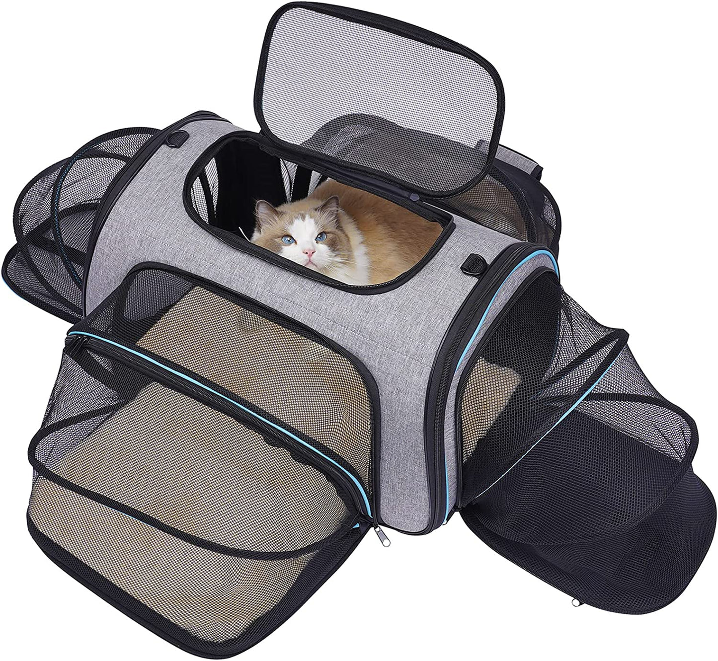 Siivton Pet Carrier Airline Approved, 4 Sides Expandable Cat Carrier Bag with Removable Fleece Pad, Large Soft Sided Pet Travel Carrier, Dog Carrier for Cats, Puppy and Small Dogs