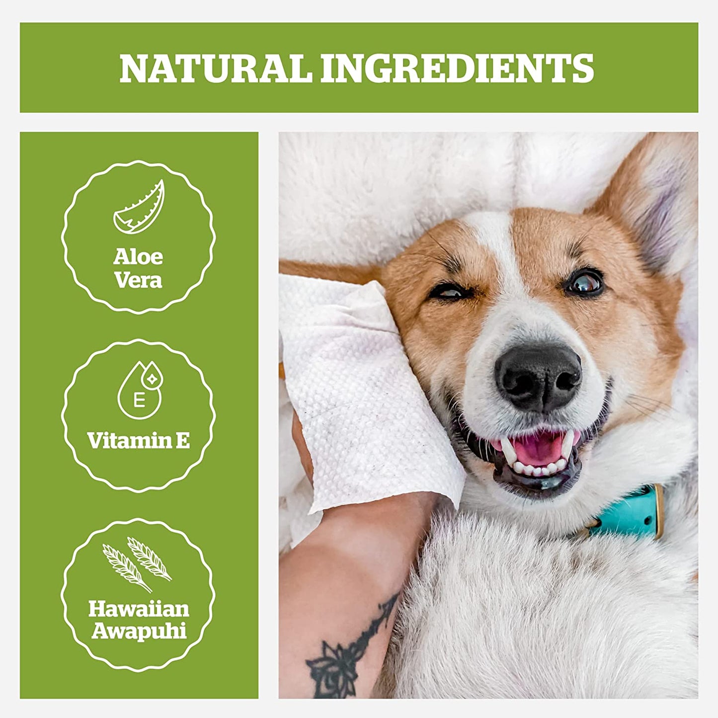 Pogi'S Dog Grooming Wipes - 100 Dog Wipes for Cleaning and Deodorizing - Plant-Based, Hypoallergenic Pet Wipes for Dogs, Puppy Wipes - Quick Bath Dog Wipes for Paws, Butt, & Body - Fragrance Free