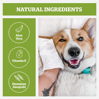 Pogi'S Dog Grooming Wipes Travel Packs - 120 Dog Wipes for Cleaning and Deodorizing - Hypoallergenic Pet Wipes for Dogs, Puppy Wipes - Quick Bath Dog Wipes for Paws, Butt, & Body - Green Tea Scented