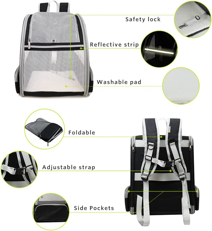 Texsens Pet Backpack Carrier for Small Cats Dogs | Ventilated Design, Safety Straps, Buckle Support, Collapsible | Designed for Travel, Hiking & Outdoor Use (Creamy White)