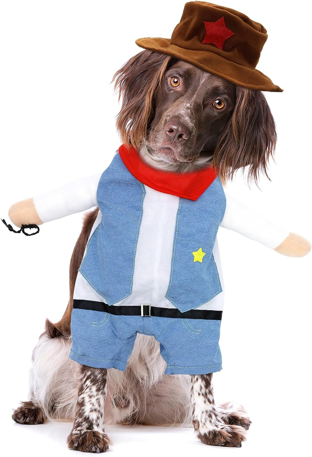 NACOCO Halloween Cowboy Dog Costume - Pet Clothes Costumes with Hat for Dog and Cat Blue(M)