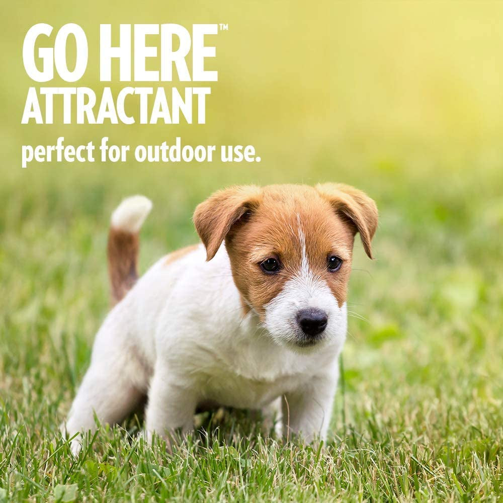 OUT! Petcare Go Here Attractant Indoor and Outdoor Dog Training Spray - House-Training Aid for Puppies and Dogs - 32 Oz