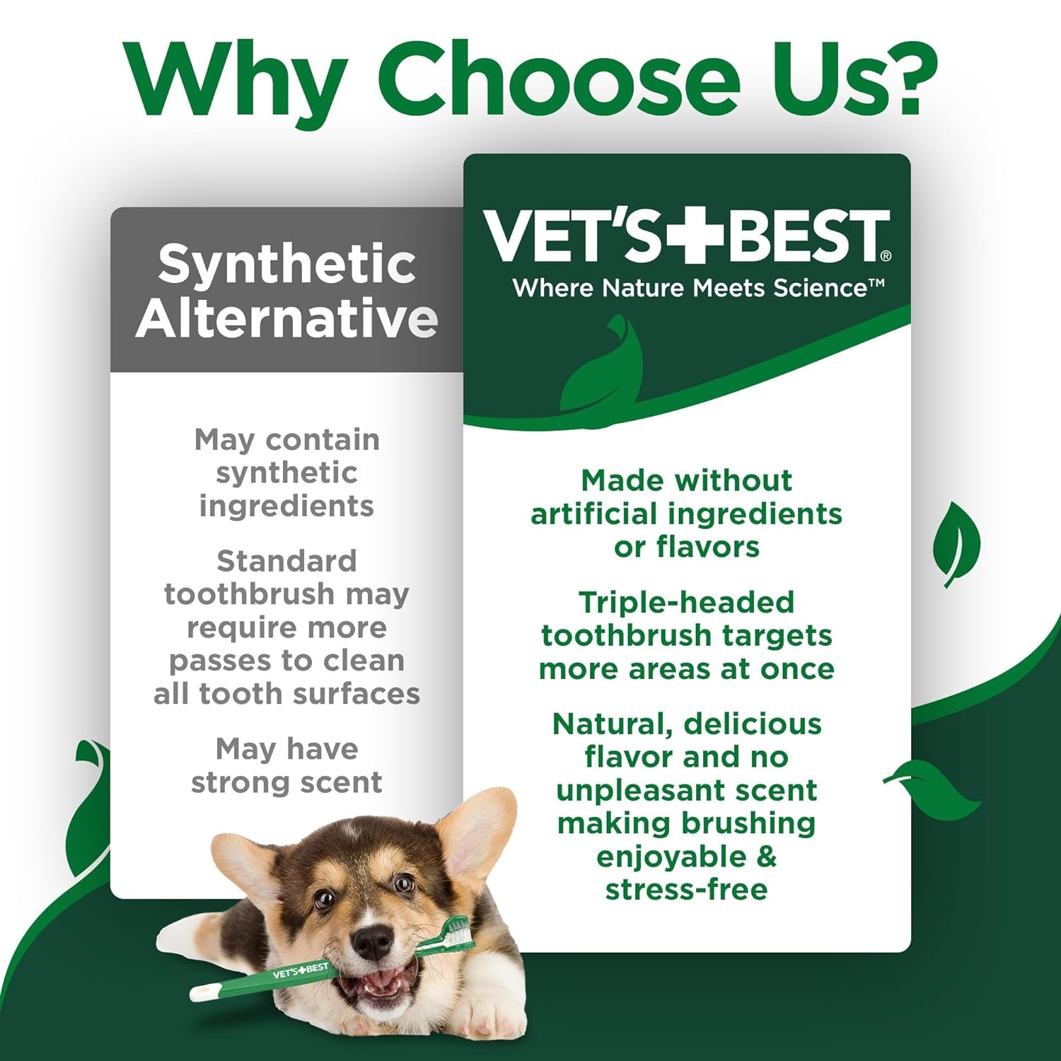 Vet's Best Dog Toothbrush & Enzymatic Toothpaste Kit - Teeth Cleaning - Made with Natural Ingredients - Reduces Plaque, Whitens Teeth, Freshens Breath - Bonus Care Guide & Finger Brush Included