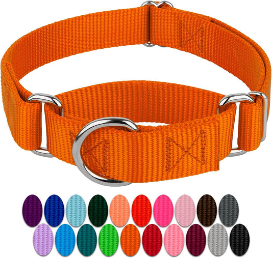 Country Brook Petz - Orange Martingale Heavy Duty Nylon Dog Collar - 21 Vibrant Color Options (3/8 Inch Width, Extra Small)