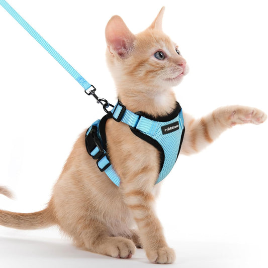 Rabbitgoo Cat Harness and Leash for Walking, Escape Proof Soft Adjustable Vest Harnesses for Cats, Easy Control Breathable Reflective Strips Jacket, Light Blue, XXS